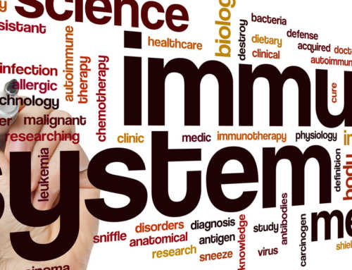 Stress and Your Immune System