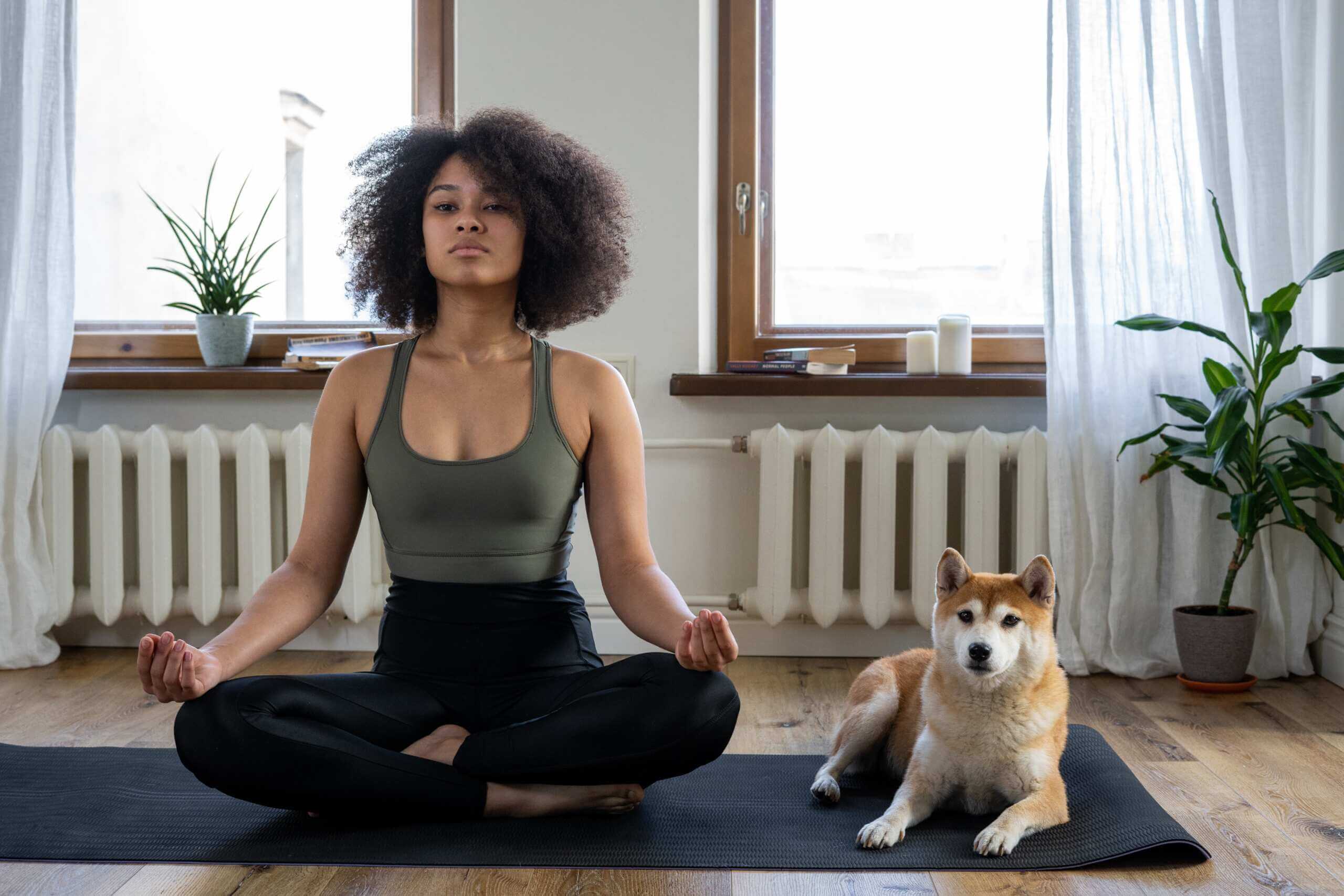 Cannabis and Yoga: A Perfect Duo - Harmony Company