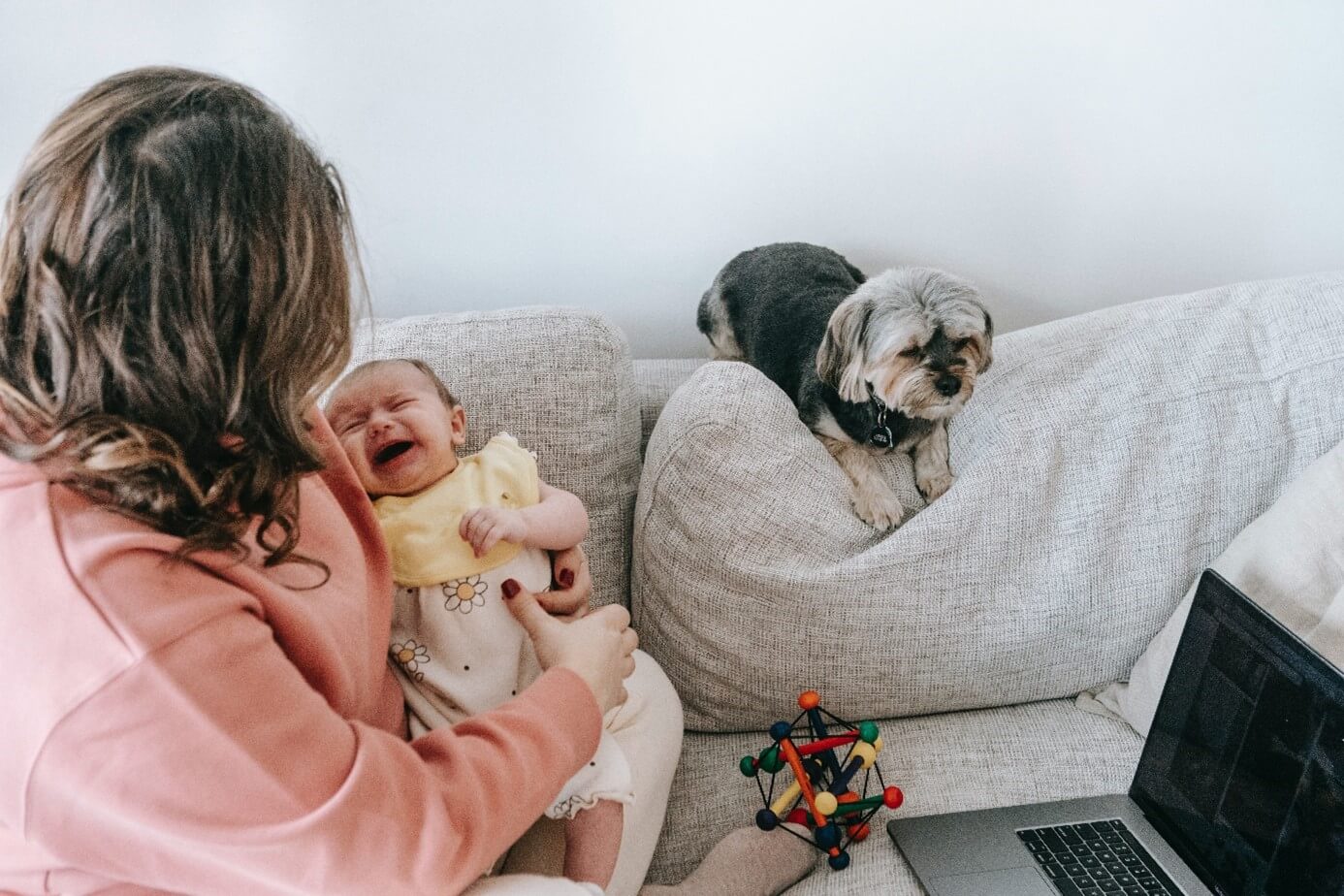 A woman looking at a crying baby in her arms and a dog next to them looking a bit down