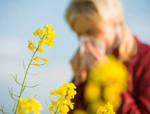 A Natural Solution to Spring Allergies